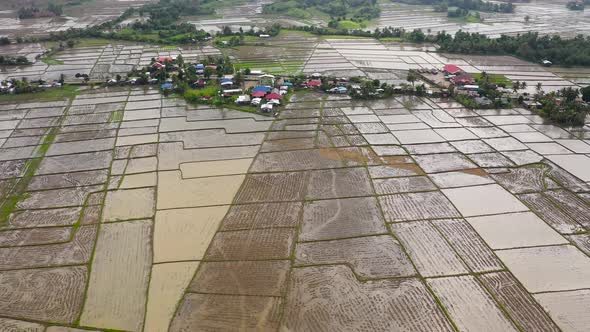 Philippine Village and Rice Fields Flooded with Water