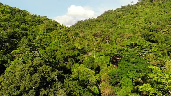 Green Jungle on Hills. Tropical Trees Growing on Hilly Terrain on Koh Samui Island. Way To Waterfall