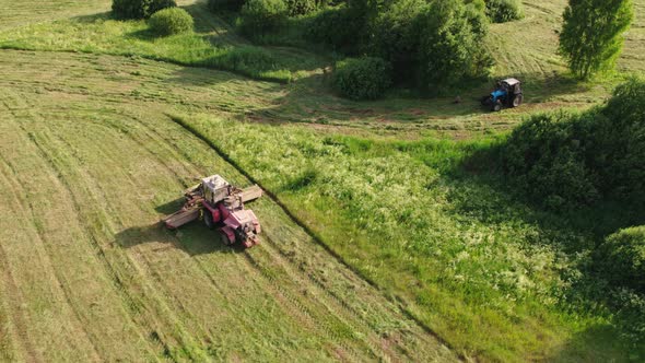 Mower Rides Through the Meadow Accompanied By a Stork