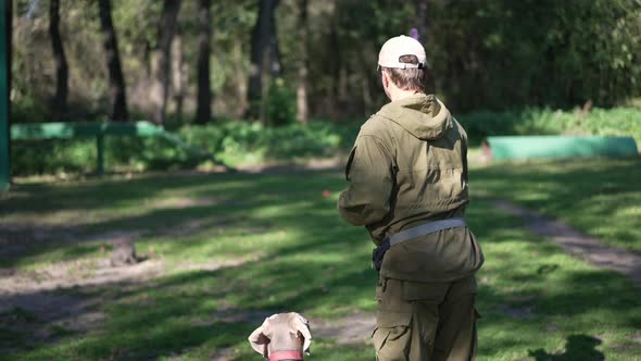 Back View Man Throwing Pet Flying Disk and Young Weimaraner Chasing Toy Running Away in Slow Motion