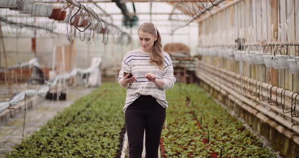 Agriculture - Female Gardener Using Mobile Phone in Greenhouse