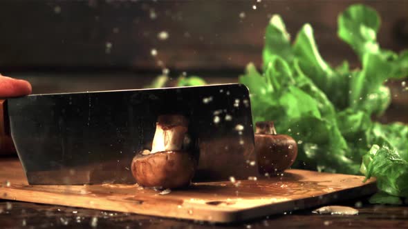 Super Slow Motion Fresh Mushroom Cut Into Pieces with a Knife