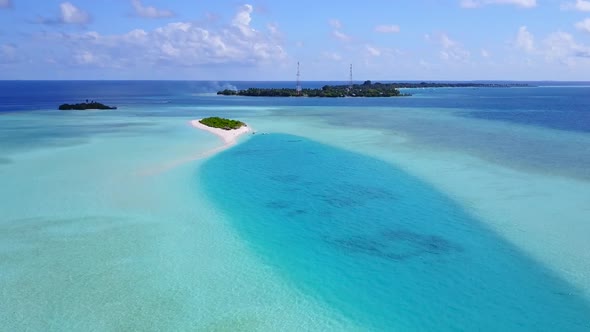 Aerial drone landscape of shore beach wildlife by lagoon and sand background