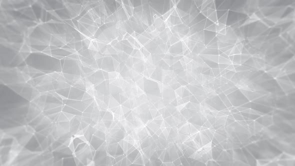 White Polygonal Background