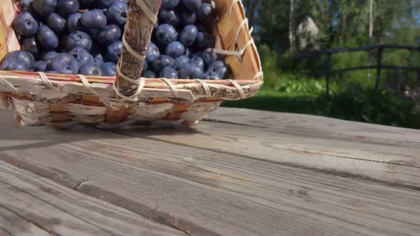 Basket Full of Blueberries Fall on a Wooden Table