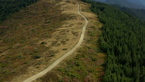 Aerial Mountain Woods Road for Tourists Among Peaceful Hills Forest Growing