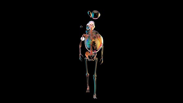 3D Anatomy concept of a Skeleton walking with abstract art