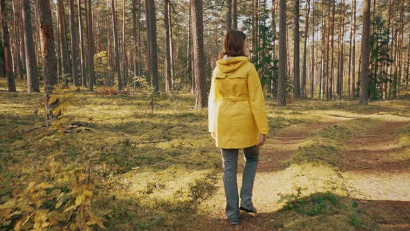 Young Woman Tourist Lady Dressed In Yellow Jacket Of Autumn Forest