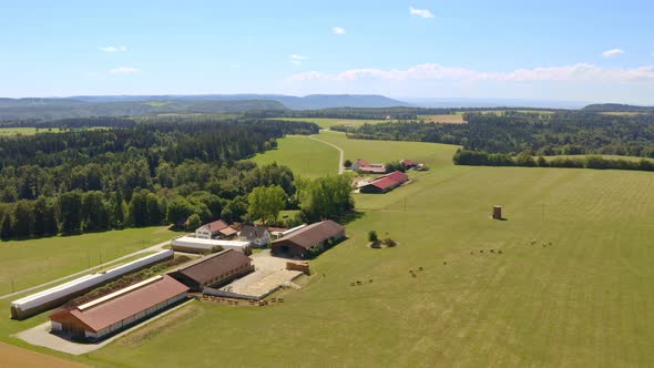 Homecoming - speed up sequence of a herd of cows, running fast into its barn, idyllic farm land from