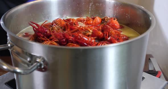 Red fresh lobster crayfish seafood soup in stainless steel pot ready to be cocked as healthy meal in