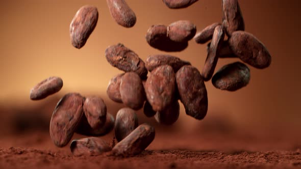 Super Slow Motion Shot of Raw Chocolate Beans Falling Into Cocoa Powder at 1000Fps