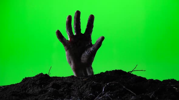 Zombie Hand Emerging From the Ground Grave. Halloween Concept. Green Screen. 015