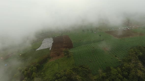 Farmland in the Mountains in the Fog. Jawa Island, Indonesia