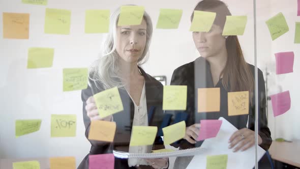 Focused Female Business Colleagues Working on Tasks