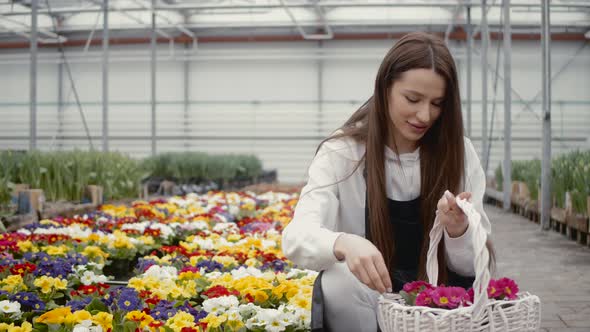 Happy Female Nursery Worker Trimming Plants in Greenhouse