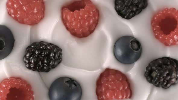 Yogurt decorated with fresh black-red raspberries and blueberries - Swirl shot