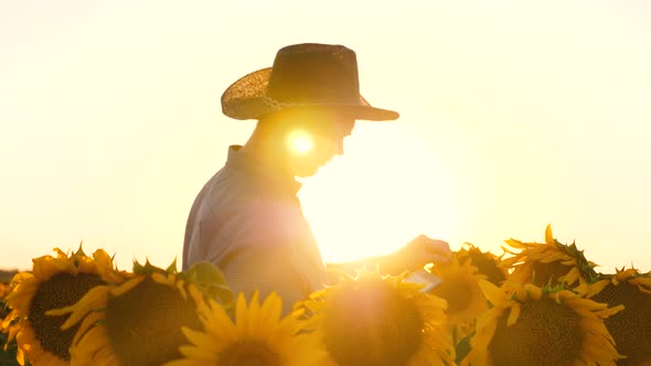 Businessman with Tablet Examines His Field at Sunset