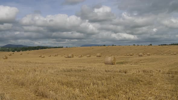 Pan right view of a hayfield