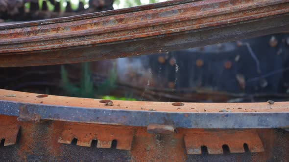 Spider Web on Destroyed Tank Outdoors