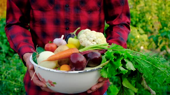 A Man Farmer with a Harvest of Vegetables in His Hands