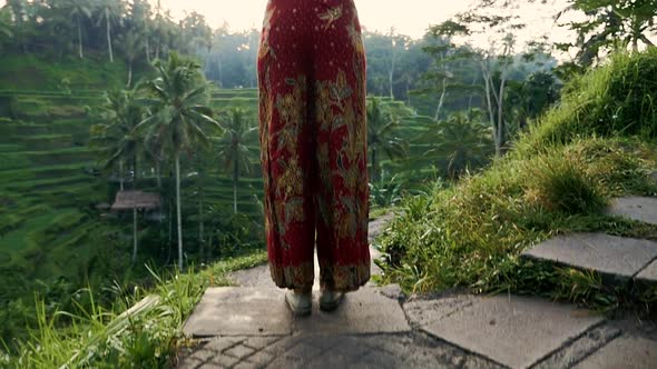 Beautiful girl spending time in the rice fields of Bali