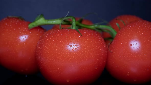 Macro Shot of Fresh Tomatoes on a Green Branch