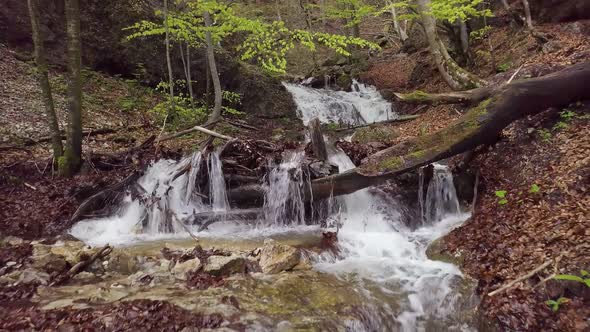 Fly Backward over Clear Water of Mountain Stream Flow in Spring Wilderness Forest