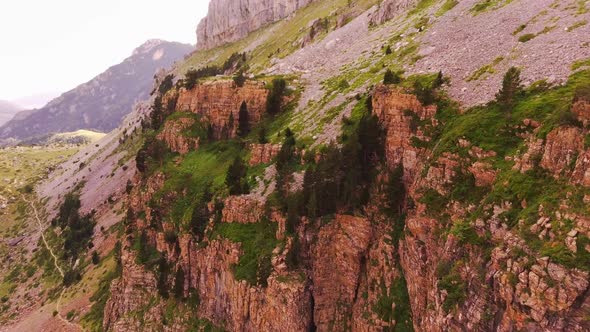 Mountain Goat Running