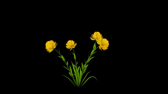 3D Cartoon Yellow Flower