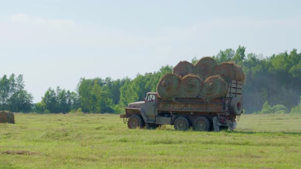 Transportation of Hay Cubes in the Back of a Truck