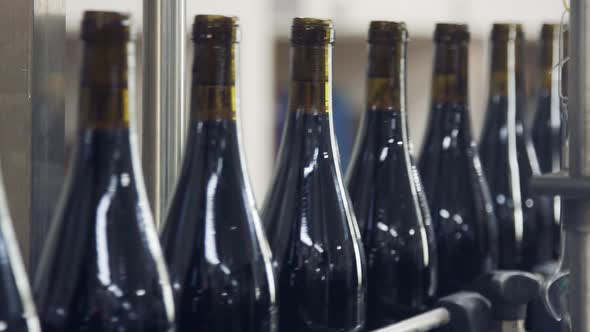 Red Wine bottles on a conveyor belt in a wine bottling factory.