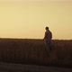 Farmer Silhouette Examine Crop at Autumn Golden Sunset - VideoHive Item for Sale