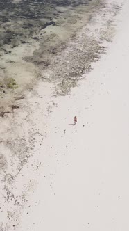 Vertical Video of a Coastal Landscape in Zanzibar Tanzania