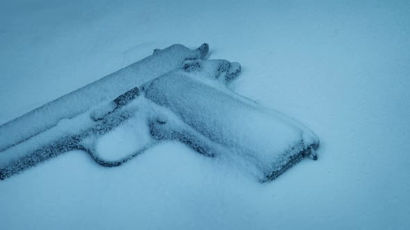 Gun Covered In Snow alt