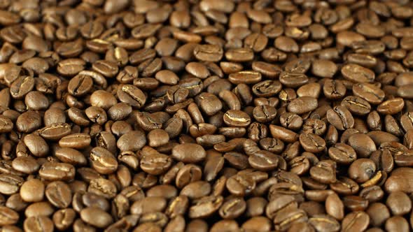 Rotation close-up of coffee beans 360. Golden selected aromatic beans rotates