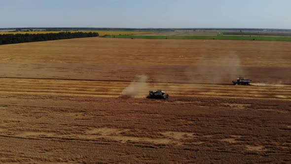 Combine harvesting: aerial view of agricultural machine collecting golden ripe.