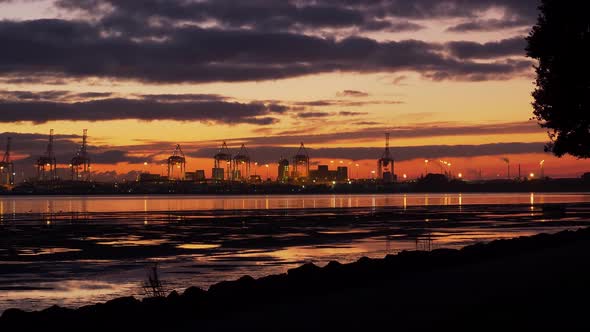 Illuminated Cranes At The Port Of Tauranga Across Tauranga Harbour In New Zealand During Sunset - Go