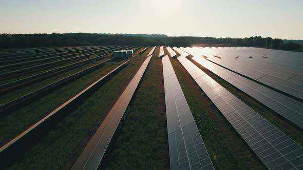 Aerial View of Solar Farm on the Green Field at Sunset Time Solar Panels in Row