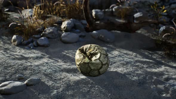 An Old Torn Soccer Ball Thrown Lies on Sand of Sea Beach alt