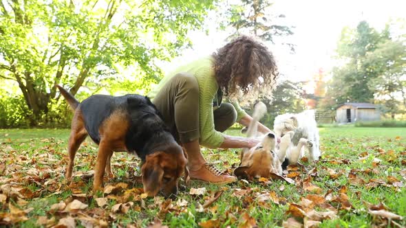 Woman playing with dogs at park, slow motion