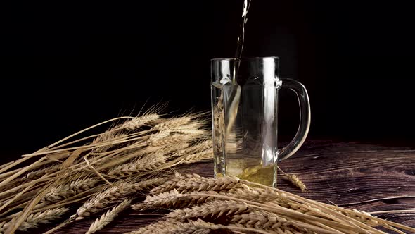 Beer with Foam and Wheat. Pouring Beer Into Glass.