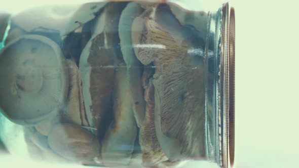 Closeup Marinated Raw Mushrooms in a Glass Jar Food Rotating on a White Background