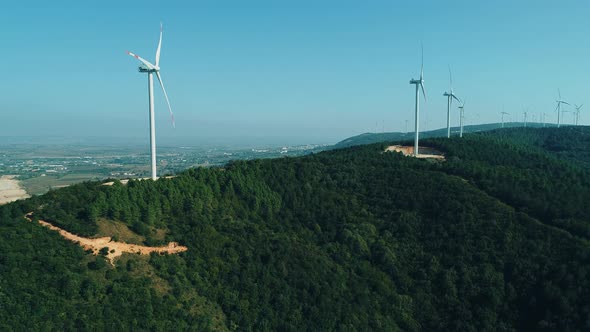 Windmills Field