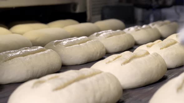 Making a Loaf of Bread in the Bakery. Loaf of Bread on the Production Line in the Baking Industry