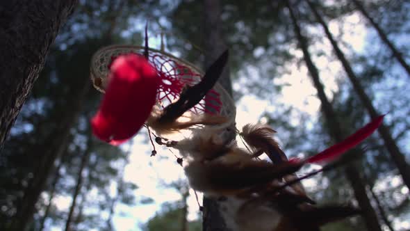 Dreamcatcher In The Forest