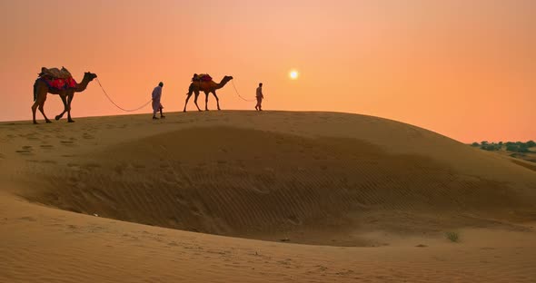 Two Indian Cameleers (Camel Driver) Bedouin with Camel Silhouettes in Sand Dunes of Thar Desert on