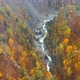 Aerial drone view of the mountain river Eastern Sayan Siberia Buryatia Arshan - VideoHive Item for Sale