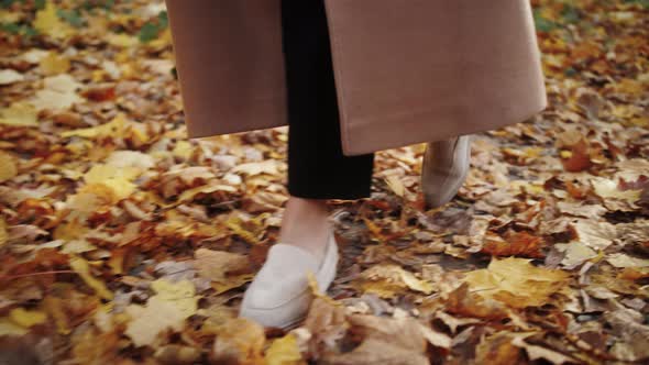 Legs of Woman Walking in Autumn Park