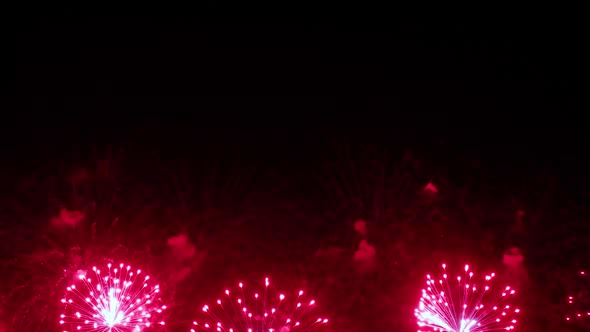 Colorful Fireworks Exploding in the Night Sky