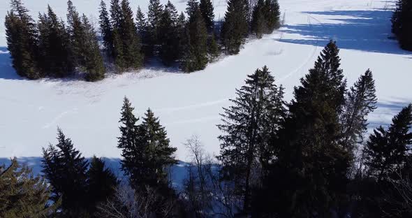 Aerial View Over Winter Forest